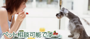 ペット相談可能ですの画像